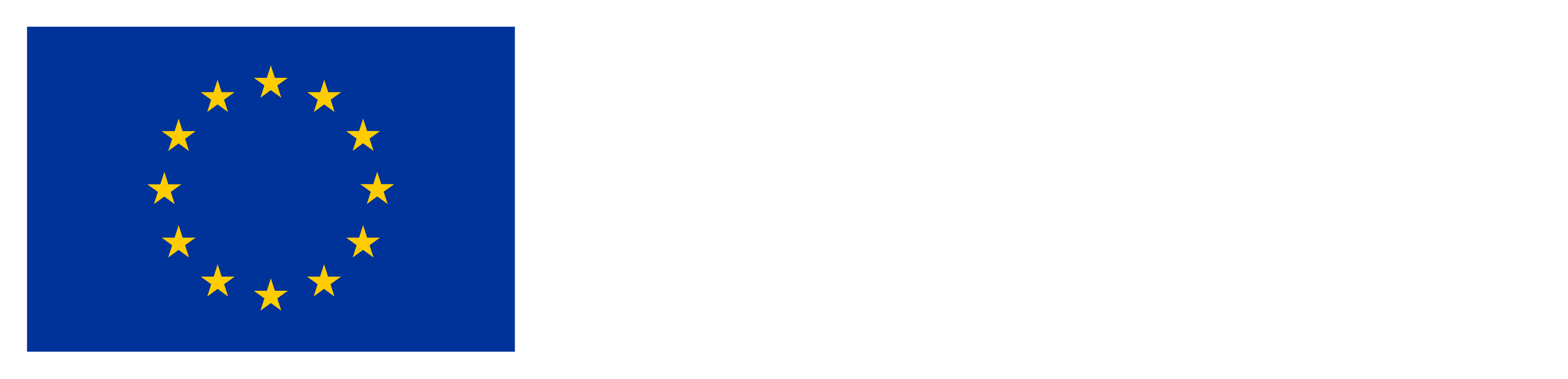 Co-funded by the European Union